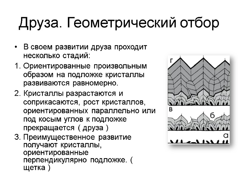 Друза. Геометрический отбор В своем развитии друза проходит несколько стадий: Ориентированные произвольным образом на